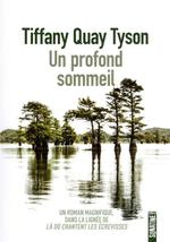 Un profond sommeil / De Tiffany Quay Tyson, Traduit par Héloïse Esquié | Tyson, Tiffany Quay. Auteur