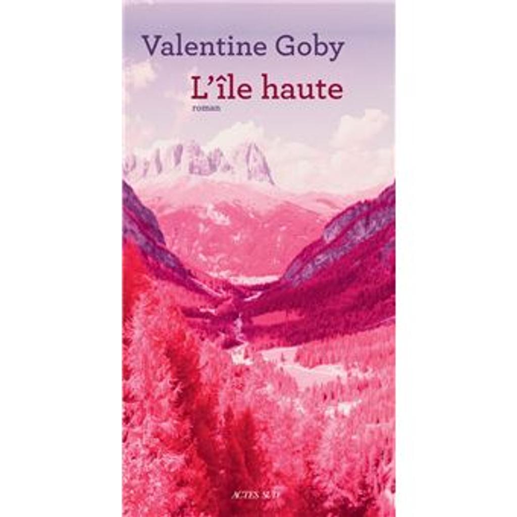 L'île haute / Valentine Goby | Goby, Valentine (1974-..). Auteur