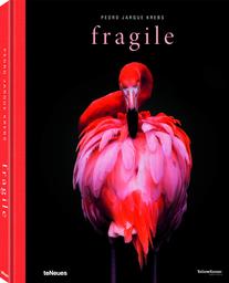 Fragile / Pedro Jarques Krebs | 